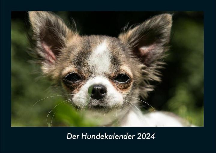 Immagine prodotto Der Hundekalender 2024 Fotokalender DIN A4 (A4, Tedesco)