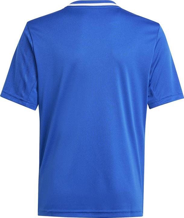 Actual product image adidas Campeon 25 Jersey Kids (128)