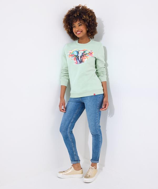 Image du produit Joe Browns Elephant Graphic Sweatshirt (38)