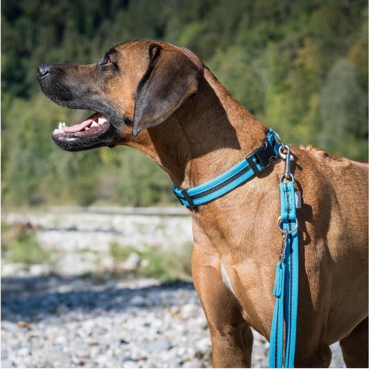 Image du produit Beat Grossenbacher Collier bordé, direct (35, 36, 37, 38, 39, 40, 41, 42, 43, 44, 45, 46, 47, 48, 49, 50, Chien)