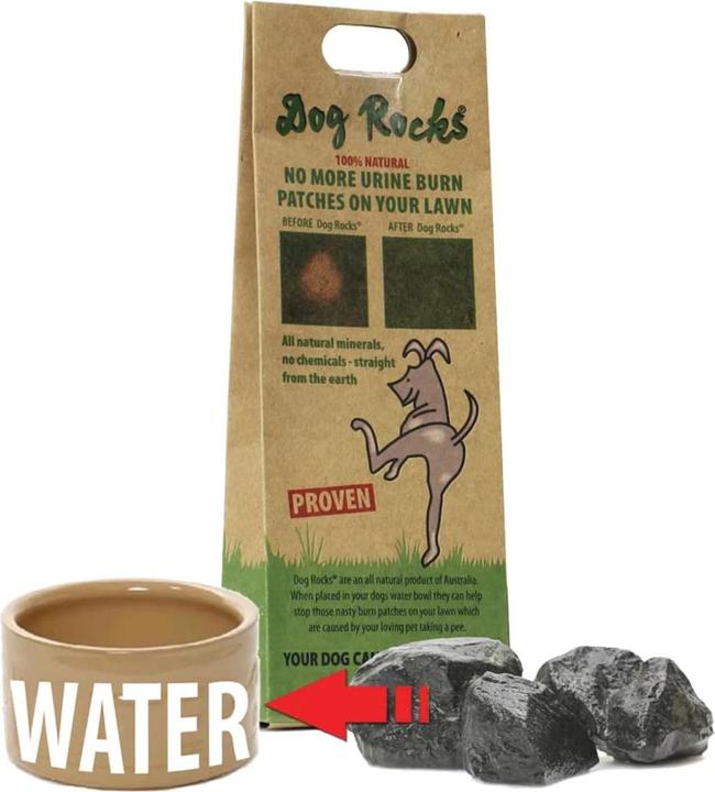 Actual product image Dog Rocks Parker (Dog)