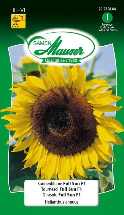 Girasole pieno sole F1 (Semi di piante)