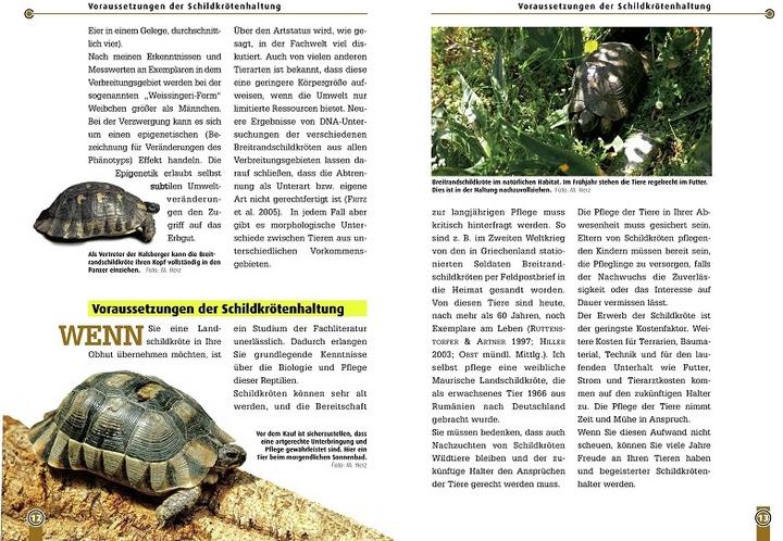Produktbild Die Breitrandschildkröte (Deutsch, Mario Herz, 2023)