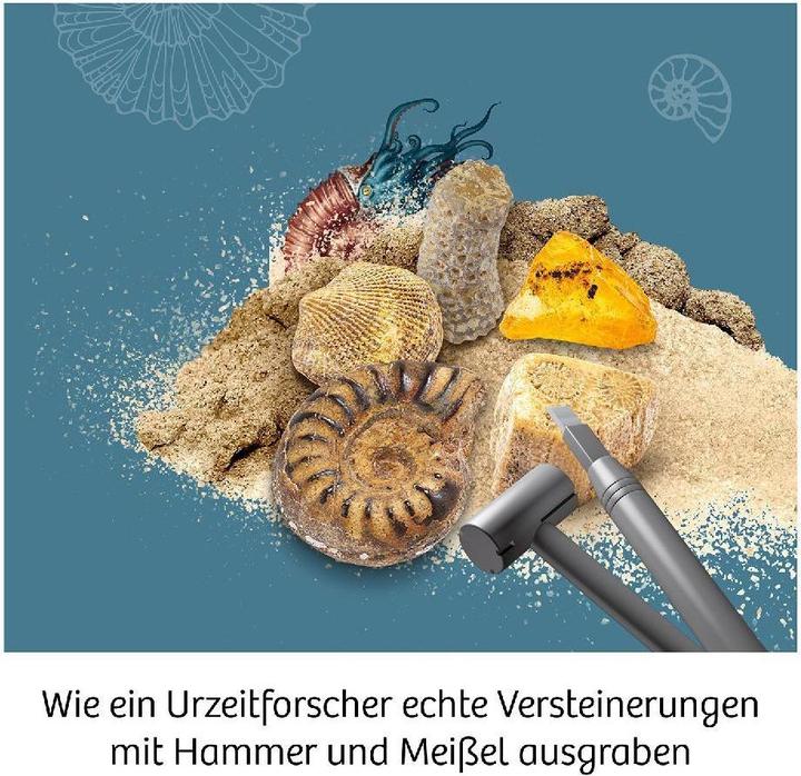 Produktbild Kosmos Fossilien