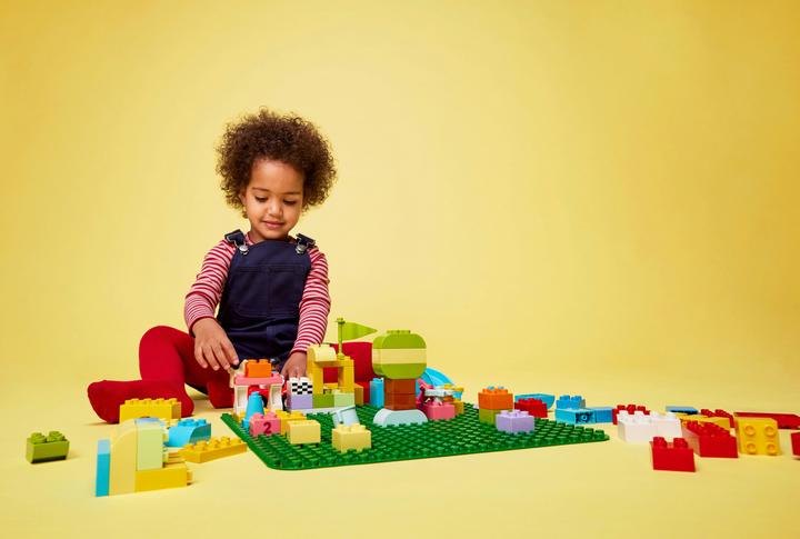 Actual product image LEGO Building panel (10980)