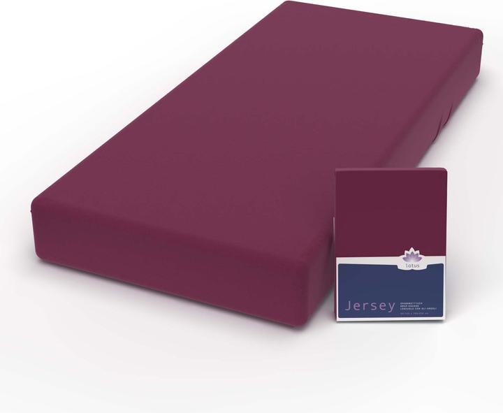Produktbild Lotus Bettwaren Jersey Fix Comfort (120 x 200 cm)