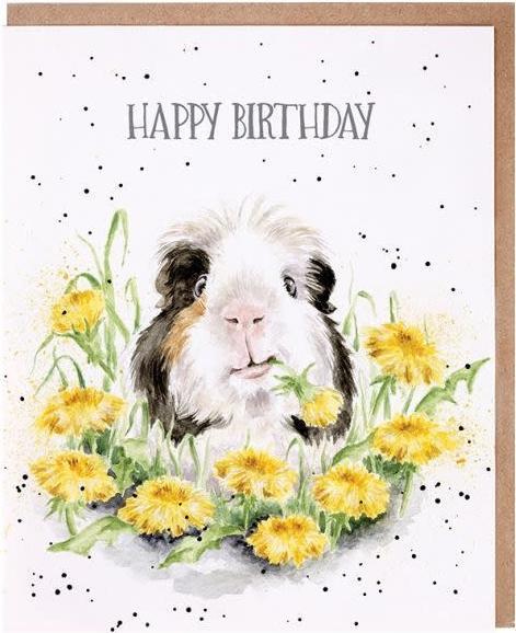 Produktbild Wrendale Design Karte „Dandy Day“ Meerschweinchen (1 Stk.)