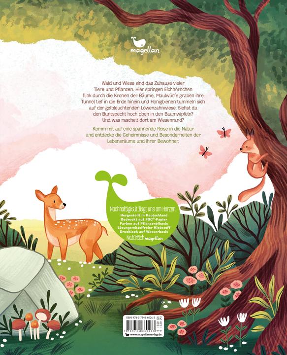 Image du produit Kleine Geheimnisse der Natur - Wald und Wiese (Allemand, Kaja Kajfež, Support & Vorbach, 2022)