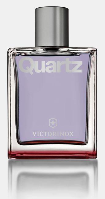 Victorinox Signature Collection Quartz Eau de Toilette (Eau de Toilette, 100 ml)