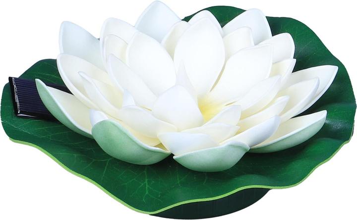 GuGus Seerose