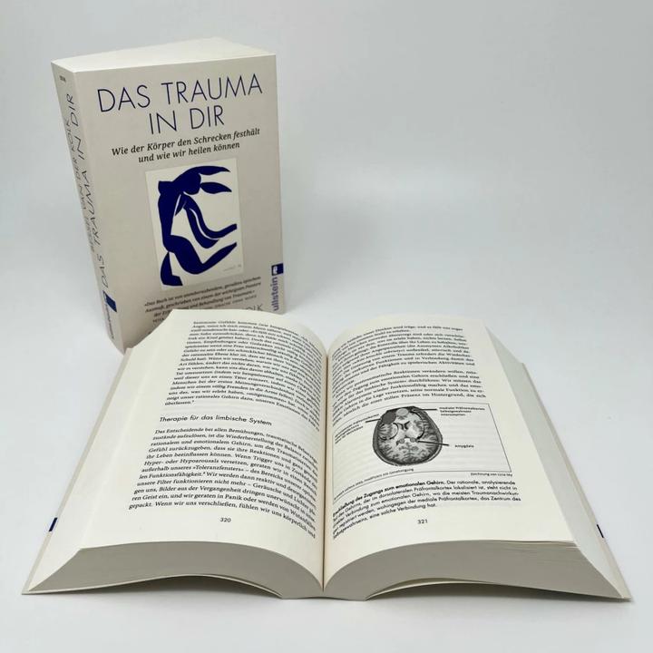 Produktbild Das Trauma in dir (Deutsch, Bessel van der Kolk, Hildegard Höhr, Theo Kierdorf, 2023)