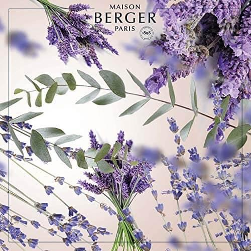 Produktbild Maison Berger Duft Champs de Lavande (1000 ml)