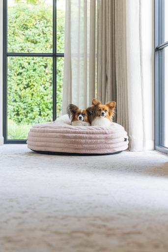 Actual product image Designed by Lotte Reza reclining cushion (Dog)