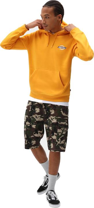Actual product image Dickies Millerville Shorts (30)