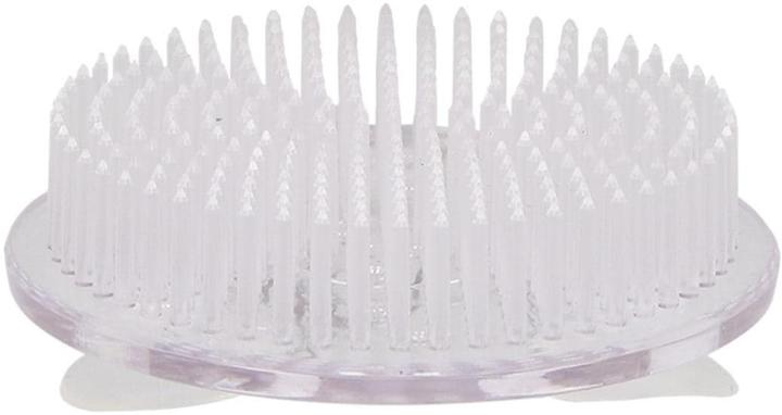 Immagine prodotto Esschert Design Steckigel Kenzan L Transparent, Detailfarbe: Transparent (7 cm, 7 cm)