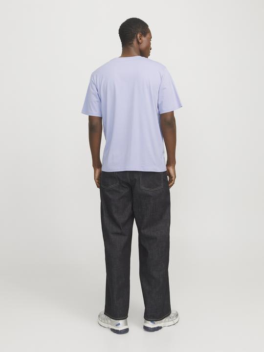 Immagine prodotto Jack & Jones Jorvesterbro Tee Ss Crew Neck Noos (XXL)