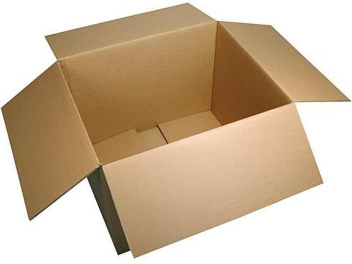 Actual product image Fourtwenty Kartonkiste für Stecklinge 55x33x22.5cm