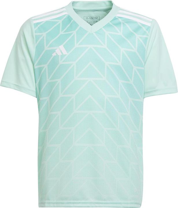 Image du produit adidas Team Icon 23 Maillot (152)