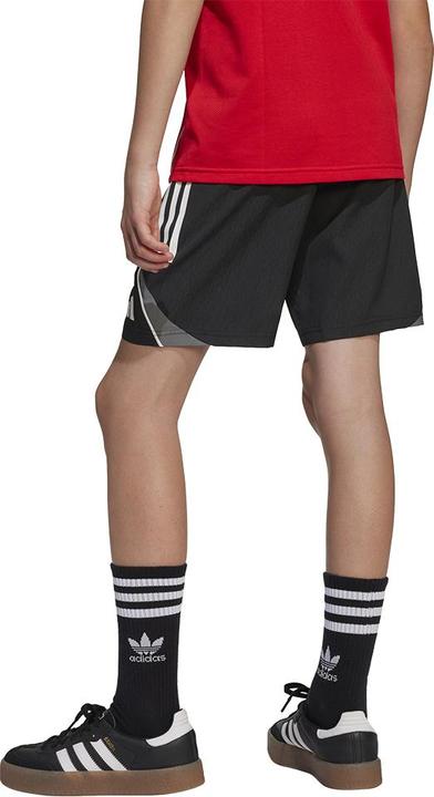 Image du produit adidas TIRO25C DT SHOY (176)