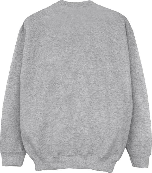 Image du produit Disney - Sweat ENCANTO MY BEST SELF - Fille (152, 158)
