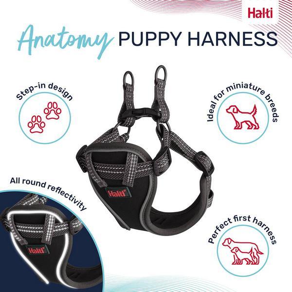 Produktbild Company of Animals Halti Anatomy XXS Welpengeschirr (XXS, Hund)