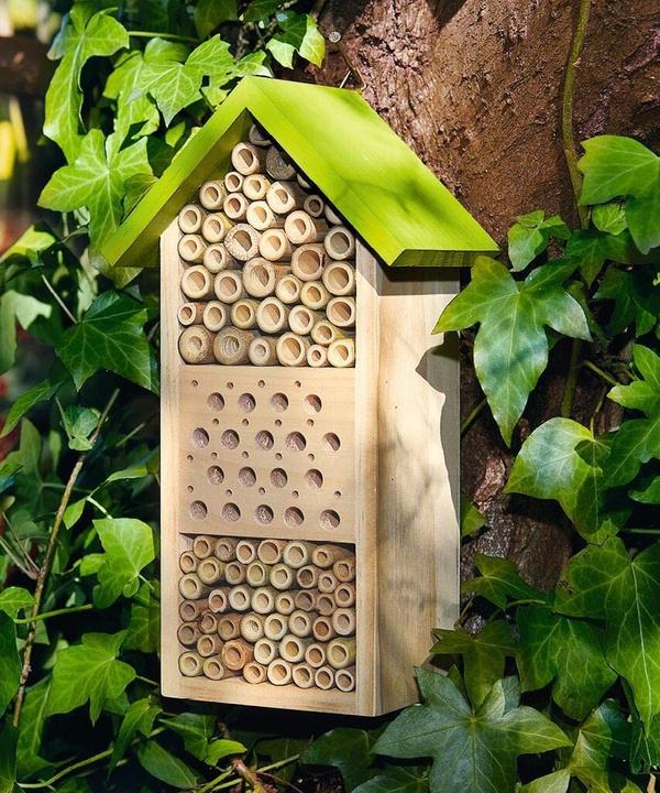 Actual product image Expedition Nature (Wild bees)