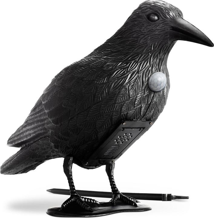 Actual product image Gardigo Crow