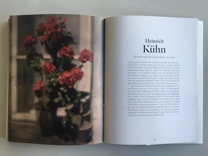 Actual product image Blumen in der Kunst (German, Kendra Wilson, 2019)