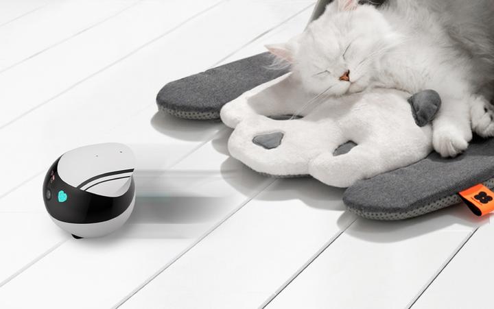 Actual product image Enabot EBO Air (1920 x 1080 Pixels)