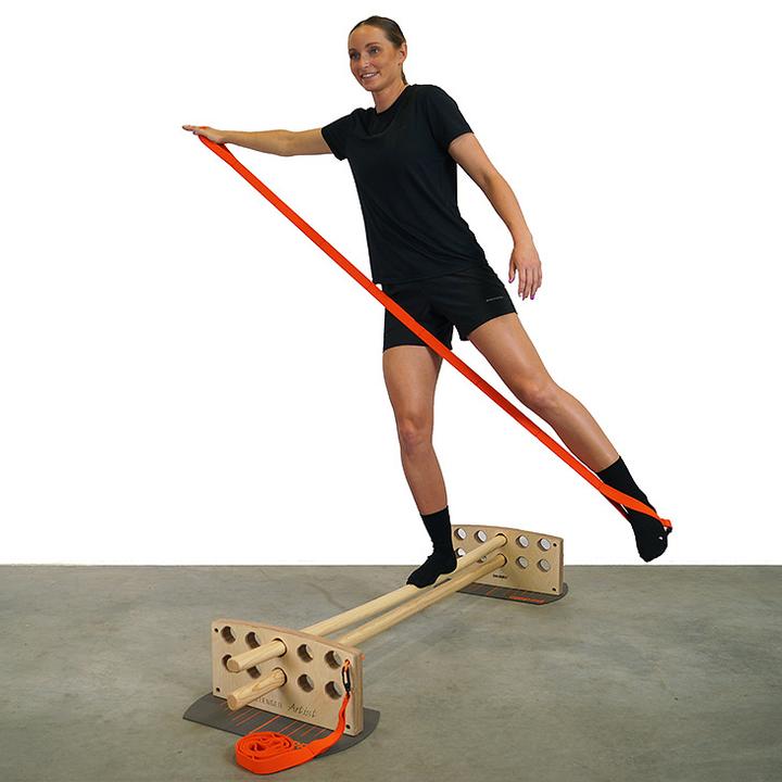 Actual product image Pedalo Balance Trainer Challenger Artist