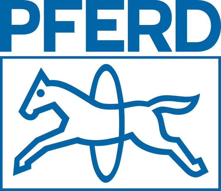 Immagine prodotto Pferd Limitatore di profondità file 200 (Taglio 2, 200 mm)