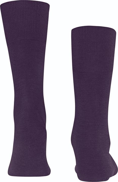 Actual product image Falke Airport SO (Single pack, 45 - 46)