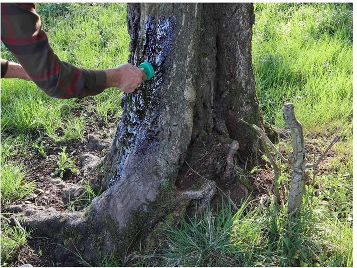 Produktbild Eurohunt Buchenteer