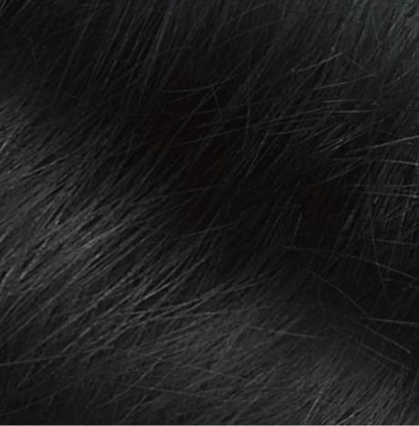 Produktbild Naturtint 2.1 negro azulado (2.1)