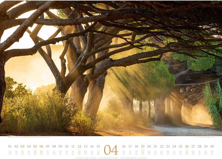 Produktbild Morgenlicht Kalender 2026 (54 x 42 cm, Englisch, Französisch, Deutsch)