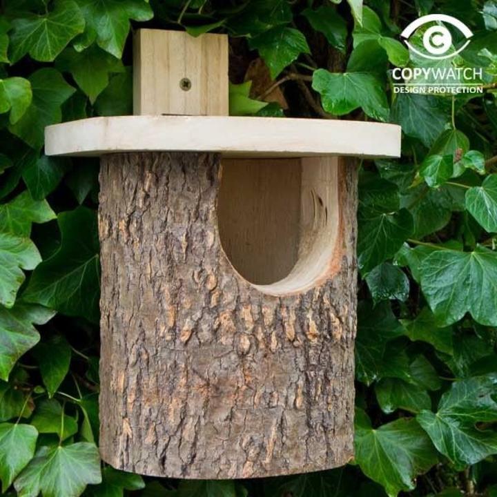 Actual product image Wildlife World Rotkehlchen