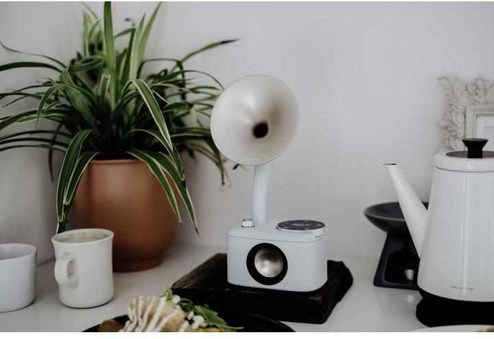 Immagine prodotto Sangean CP 100D (DAB, FM, Bluetooth)