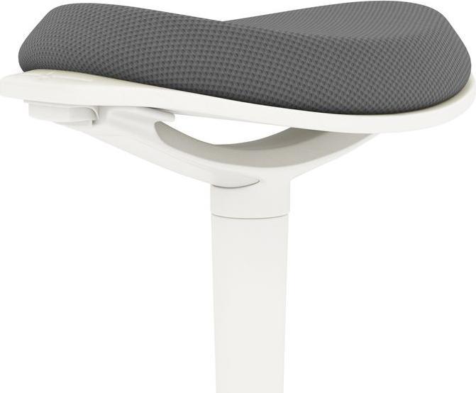 Produktbild Swisshandel24 Pendelhocker, ergonomisch, höhenverstellbar, bis 120 kg, 42,5x35,5x56,5-71,5cm, Grau
