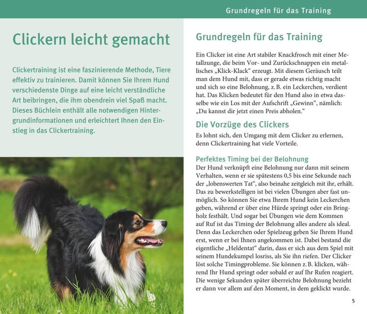 Image du produit Hunde Clicker-Box 36 Trainingskarten (Allemand, Sabine Winkler, 2016)