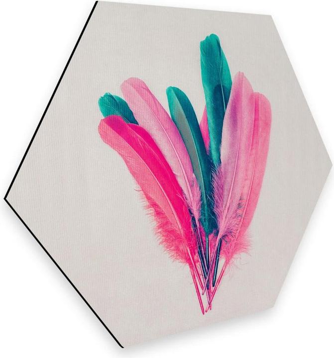 Immagine prodotto Trenddeko Bouquet di piume (55 x 47 cm)