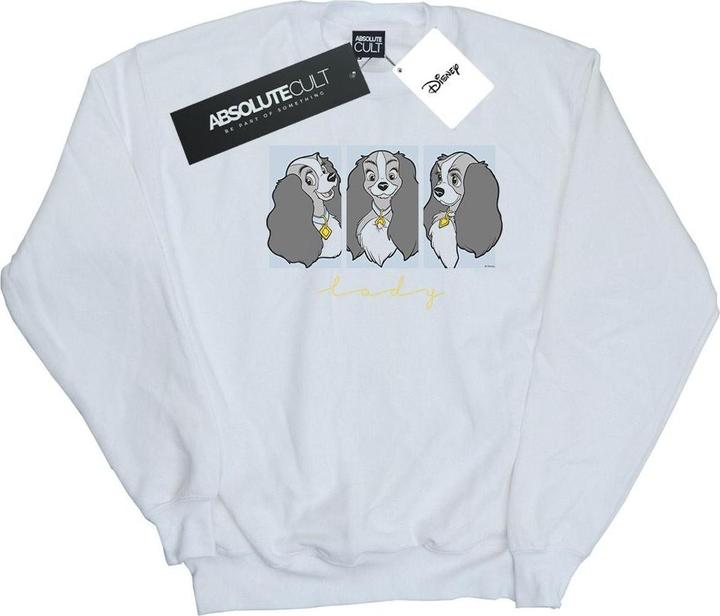 Produktbild Disney Lady And The Tramp Lady Frames Sweatshirt Jungen (140, 146)