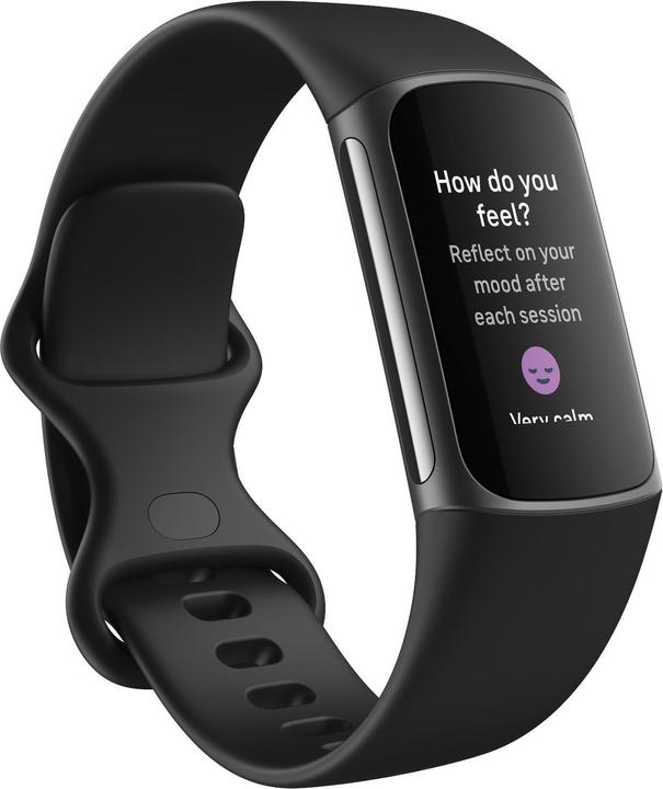 Produktbild Fitbit Charge 5 Gift Pack (26.43 mm)