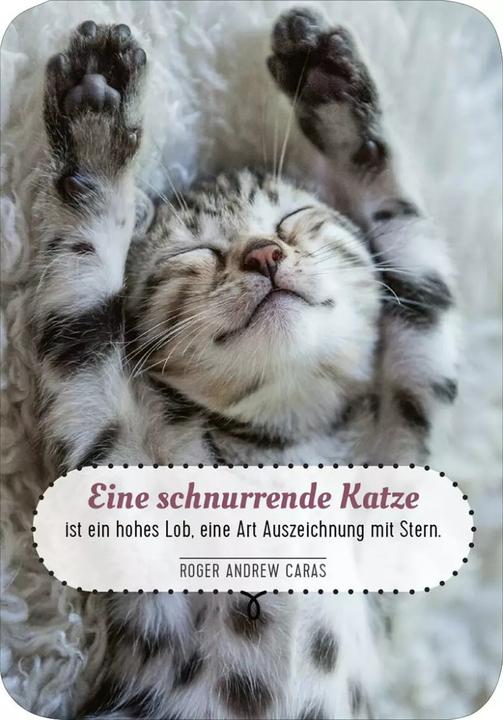 Produktbild Kartenbox Katzenweisheiten (Deutsch, 2023)