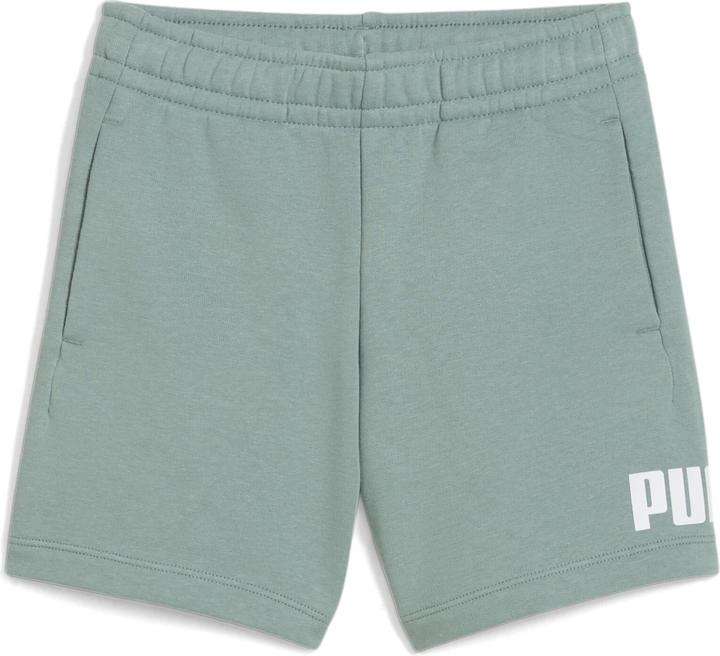 Actual product image Puma ESS No. 1 Logo Shorts TR PS (110)