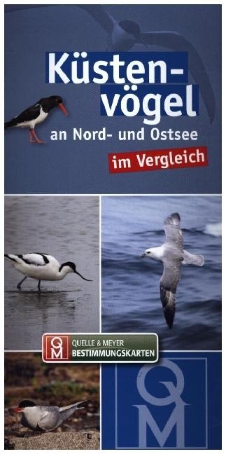 Actual product image Shorebirds on the North Sea and Baltic Sea in comparison