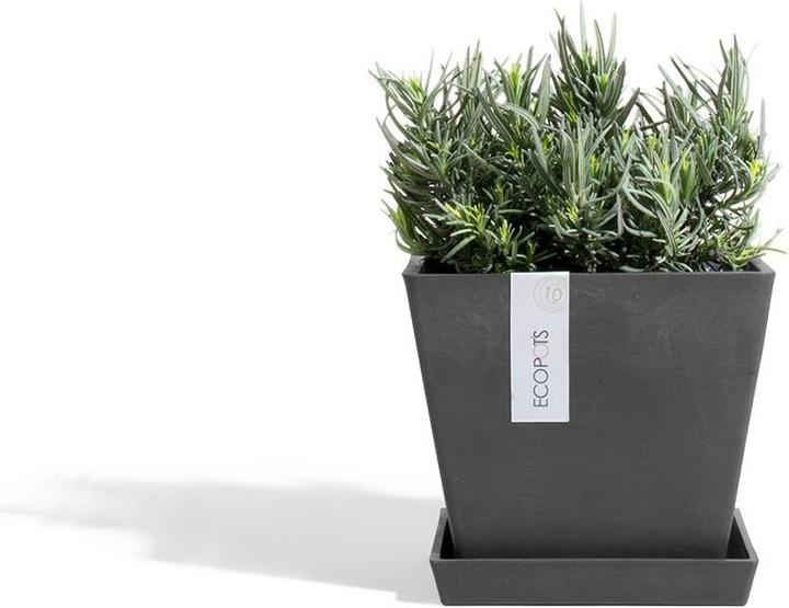 Image du produit Ecopots Saucer Rotterdam