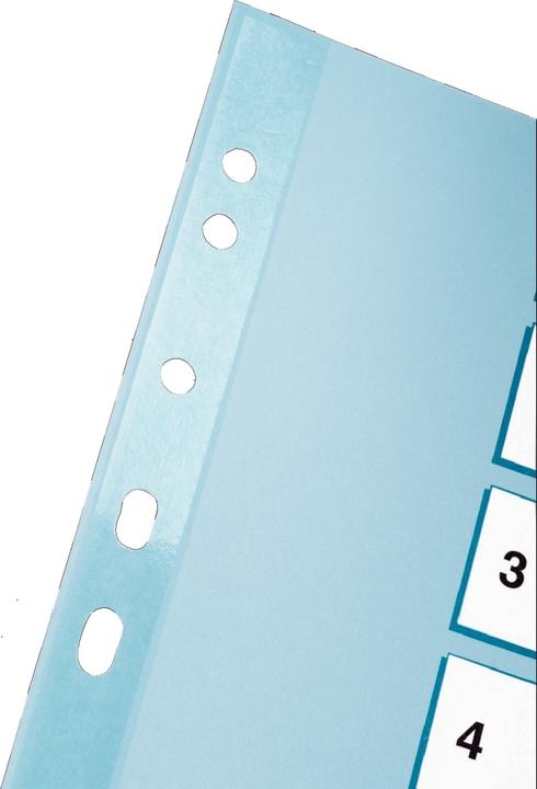 Actual product image Esselte Cardboard register Mylar, various designs, single
