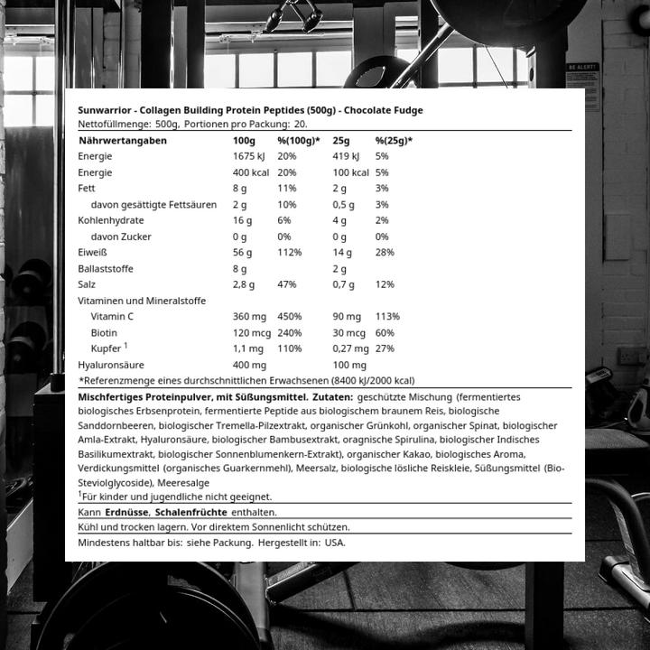 Actual product image Sunwarrior Collagen Building Protein Peptides Chocolate Fudge (1 Piece, Powder, 500 g)