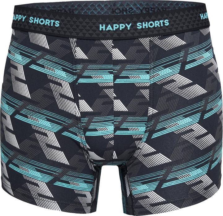 Image du produit Phil & Co. Berlin Retro Pants All Styles (L, paquet de 4)