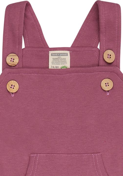 Actual product image loud + proud Dungarees (62)